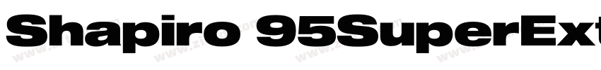 Shapiro 95SuperExtd字体转换 Shapiro 95SuperExtd字体转换